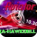 antigua hawksbill Games (Casino & Earning) Turbo v5.4.3