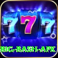 bbl big bash apk VIP Pro v3.8.9