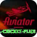 bbl cricket Champion PK v2.9.1