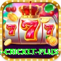 bet365 cricket Gaming Turbo