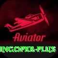 bingopkr Apps (Tools & Injectors) Deluxe v4.9.6
