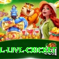 bpl live cricket Games (Casino & Earning) Ultimate v3.8.7