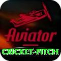cricket pitch Elite v1.2.1