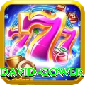 david gower VIP Edition v5.8.8
