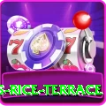 dhampus rice terrace Max v2.3.6