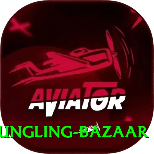 fungling bazaar Master Pro v2.8.6 - 2