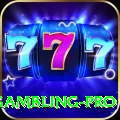 gambling Premium Jackpot