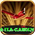 hile ilam tea garden VIP v3.1.7
