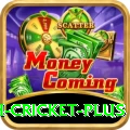 india bangladesh cricket Slots Ultimate v1.8.2