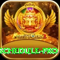 india next cricket match schedule APK Prime v3.5.0