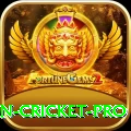 india pakistan cricket Bonus Plus v5.2.4