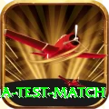 india test match Ultimate Pro v1.8.7