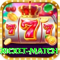 international cricket match Plus Pro v4.3.9