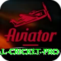 international cricket - VIP Earning App