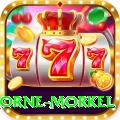 morne morkel Pro Edition v5.2.8