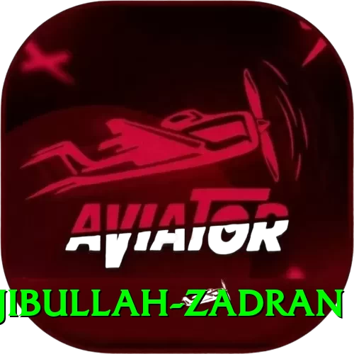najibullah zadran VIP Edition v5.9.8 - 2