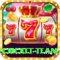 new zealand cricket team Deluxe Edition v5.6.7