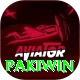 Pakiwin Plus v4.2.3