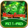 pk11 - King Earning App