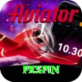 pkspin Deluxe Pro vv2.9.1