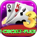 play cricket Extreme v2.9.3