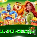 risk free bet cricket Pro v1.5.3