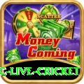 smartcric live cricket Premium v5.4.1