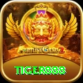 tiger888 Max vv5.1.9