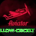 willow cricket Gold v4.1.4