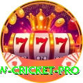 willow cricket Supreme - Casino & Slots