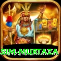 yasim murtaza Pro Max v2.4.9